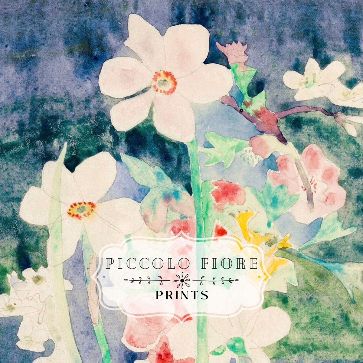 Narcissi | P59 - Single Art Prints - Piccolo Fiore Prints