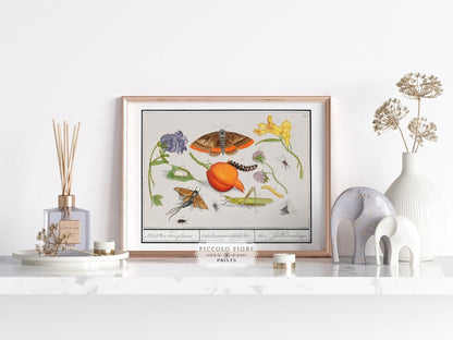 Natural History Ensemble | P362 - Single Art Prints - Piccolo Fiore Prints