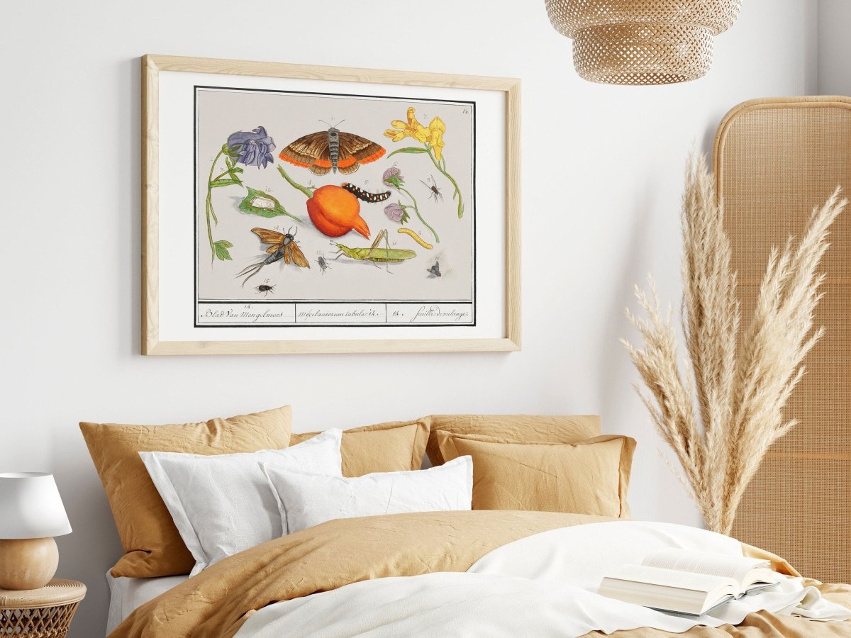 Natural History Ensemble | P362 - Single Art Prints - Piccolo Fiore Prints
