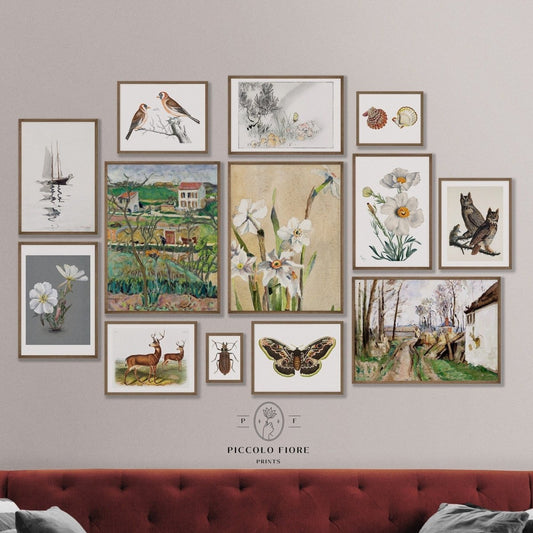 Natural History | Gallery Wall Set | 13 Prints | S13 - 1 - Gallery Wall Set - Piccolo Fiore Prints