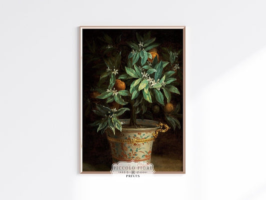 Orange Tree | P438 - Single Art Prints - Piccolo Fiore Prints