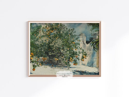Orange Trees and Gate | P441 - Single Art Prints - Piccolo Fiore Prints