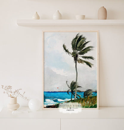 Palm Trees | P15 - Single Art Prints - Piccolo Fiore Prints