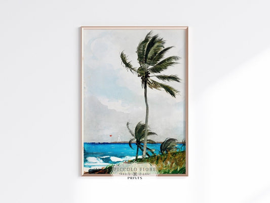 Palm Trees | P15 - Single Art Prints - Piccolo Fiore Prints