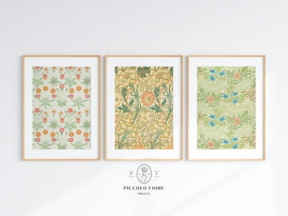 Peach and Green Florals | William Morris | Gallery Wall Set | 3 Prints | S3 - 5 - Gallery Wall Set - Piccolo Fiore Prints