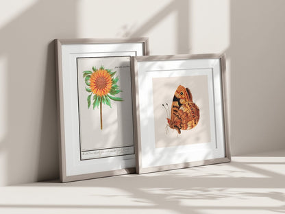Peach & Blue Eclectic Art Prints | Gallery Wall Set | 8 Prints | S8 - 4 - Gallery Wall Set - Piccolo Fiore Prints