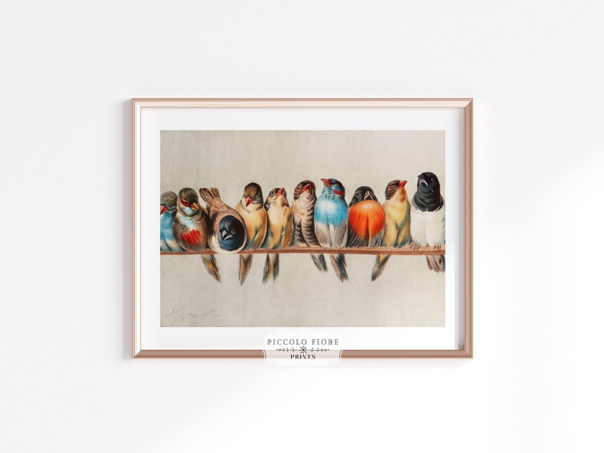 Perch of Small Birds | P30.1 - Single Art Prints - Piccolo Fiore Prints