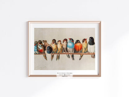 Perch of Small Birds | P30.1 - Single Art Prints - Piccolo Fiore Prints