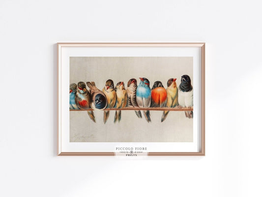 Perch of Small Birds | P30.1 - Single Art Prints - Piccolo Fiore Prints