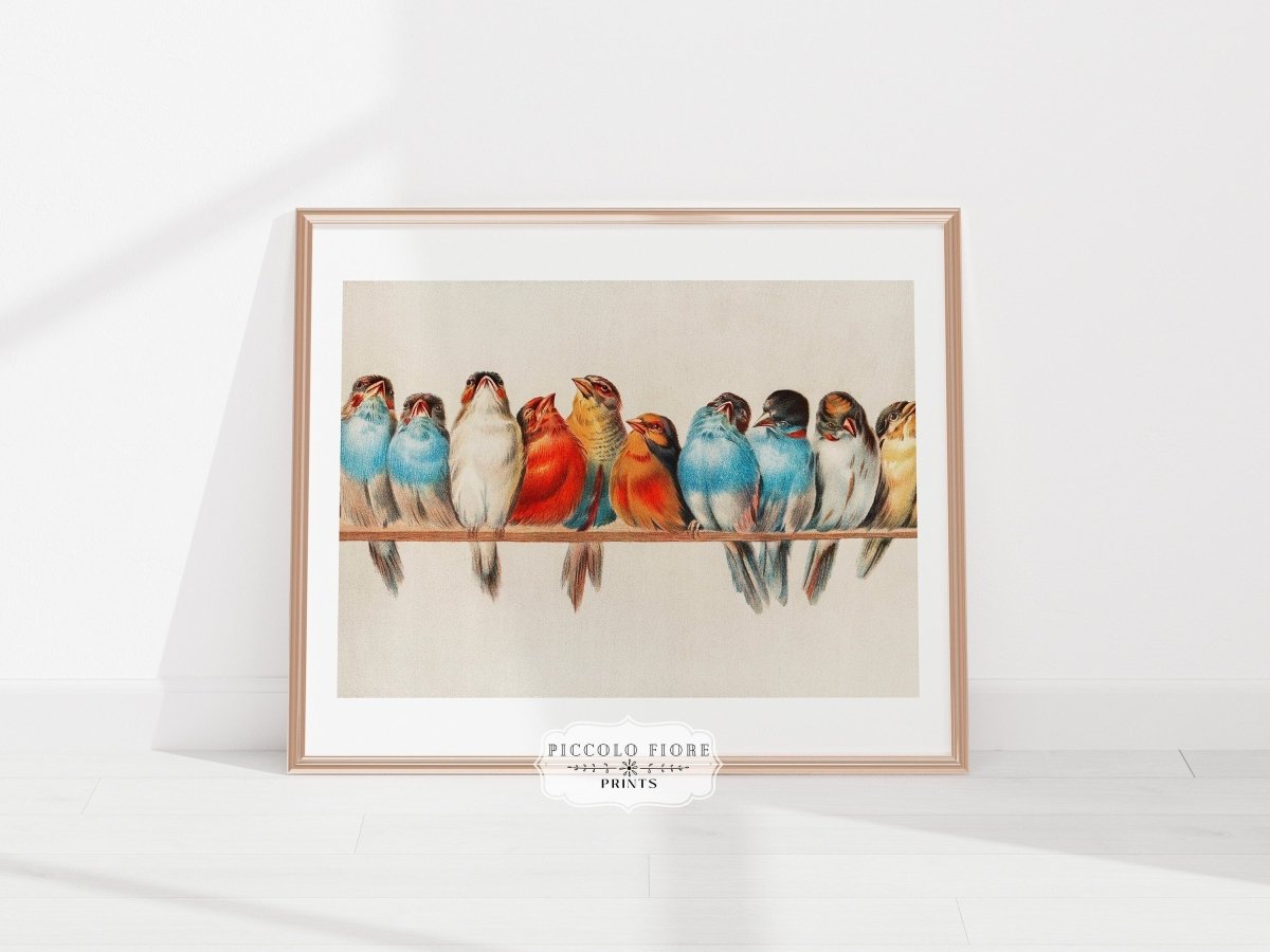 Perch of Small Birds | P30.2 - Single Art Prints - Piccolo Fiore Prints