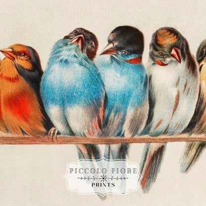 Perch of Small Birds | P30.2 - Single Art Prints - Piccolo Fiore Prints