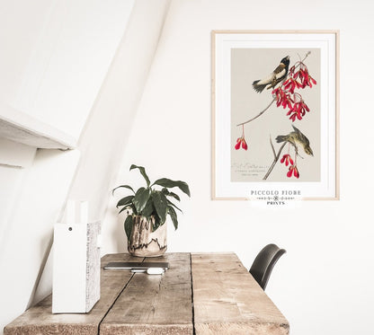 Pink and Crimson | Gallery Wall Set | M10 - 5 - Gallery Wall Set - Piccolo Fiore Prints