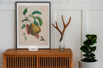 Pink Blossom and Pear | Gallery Wall Set | 3 Art Prints | M8 - 2.7 - Gallery Wall Set - Piccolo Fiore Prints