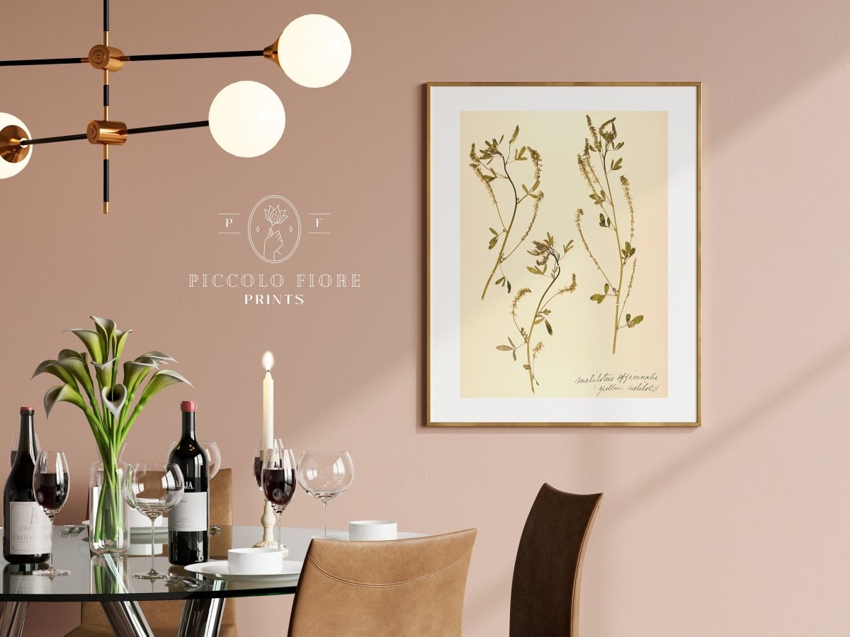 Pressed Flower Art Print | Clover | P435 - Single Art Prints - Piccolo Fiore Prints