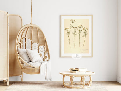 Pressed Flower Art Print | Euphorbia | P431 - Single Art Prints - Piccolo Fiore Prints