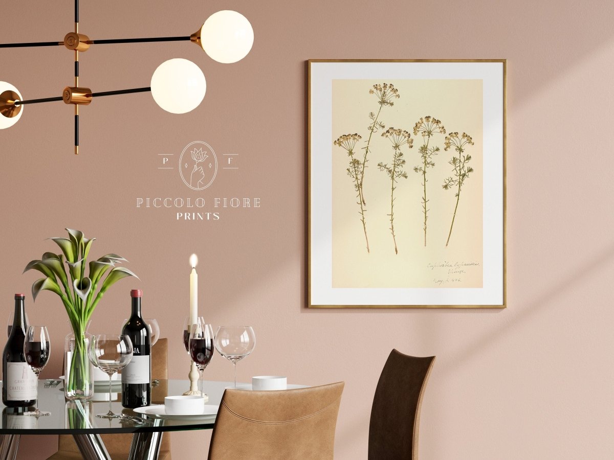 Pressed Flower Art Print | Euphorbia | P431 - Single Art Prints - Piccolo Fiore Prints
