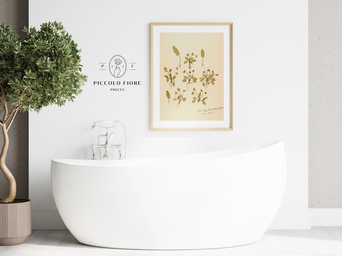 Pressed Flower Art Print | Violas | P434 - Single Art Prints - Piccolo Fiore Prints