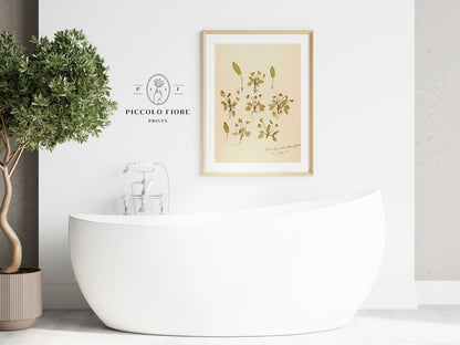 Pressed Flower Art Print | Violas | P434 - Single Art Prints - Piccolo Fiore Prints