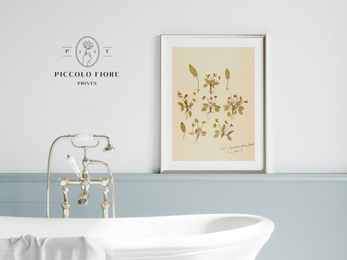 Pressed Flower Art Print | Violas | P434 - Single Art Prints - Piccolo Fiore Prints