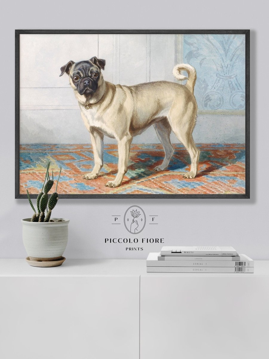 Pug Dog | P128.1 - Single Art Prints - Piccolo Fiore Prints
