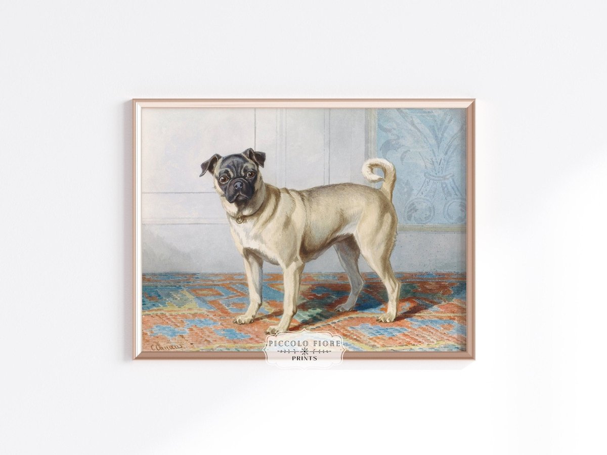 Pug Dog | P128.1 - Single Art Prints - Piccolo Fiore Prints
