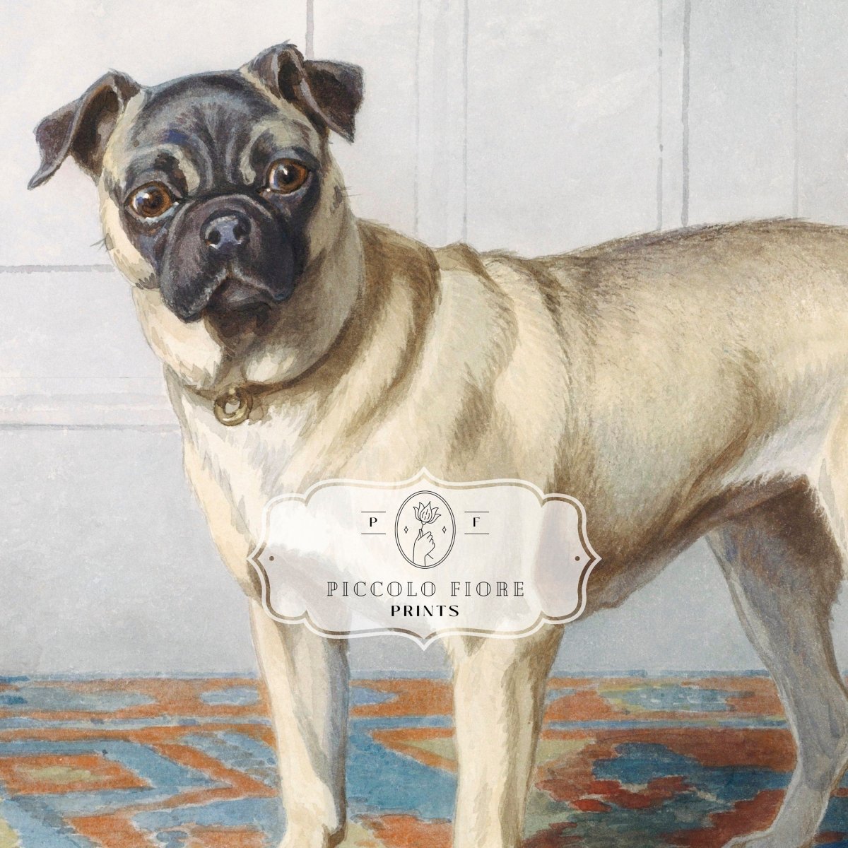 Pug Dog | P128.1 - Single Art Prints - Piccolo Fiore Prints