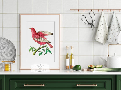 Purple Chatterer Illustration | P57 - Single Art Prints - Piccolo Fiore Prints