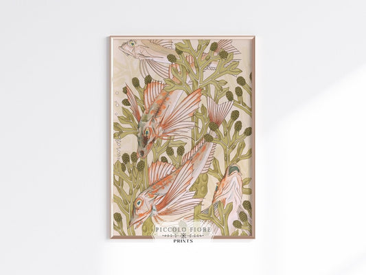 Red Mullet and Seaweed | P503 - Single Art Prints - Piccolo Fiore Prints