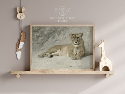 Resting Lioness | P643 - Single Art Prints - Piccolo Fiore Prints