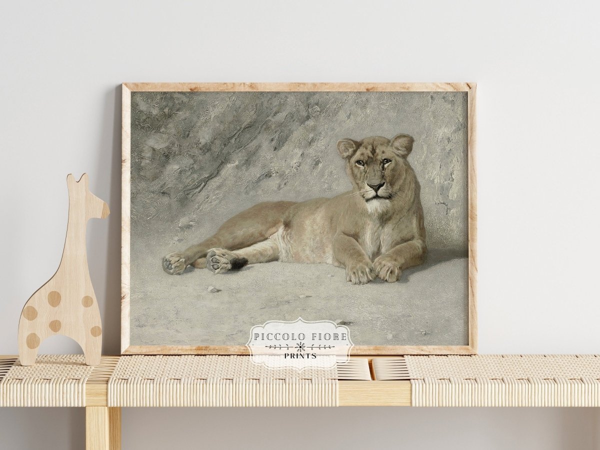 Resting Lioness | P643 - Single Art Prints - Piccolo Fiore Prints