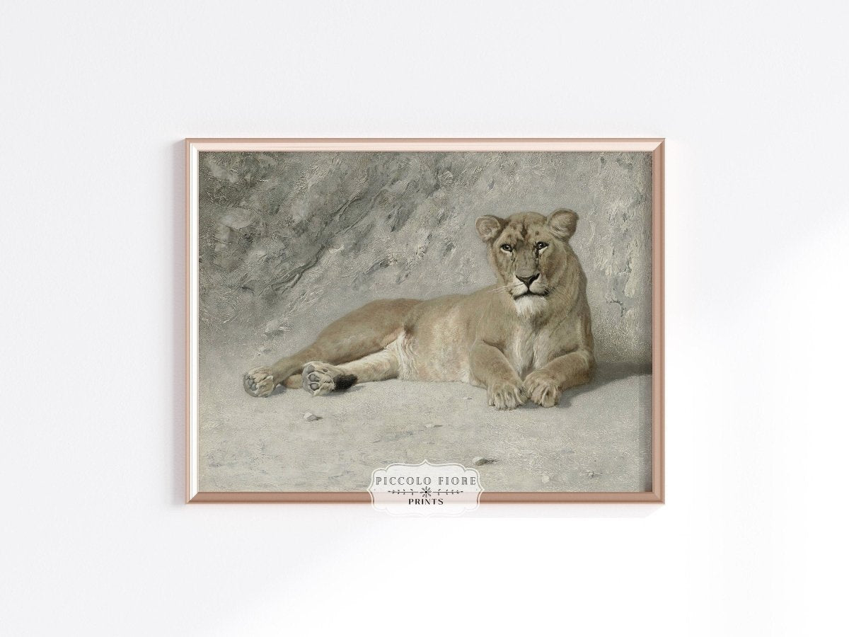 Resting Lioness | P643 - Single Art Prints - Piccolo Fiore Prints