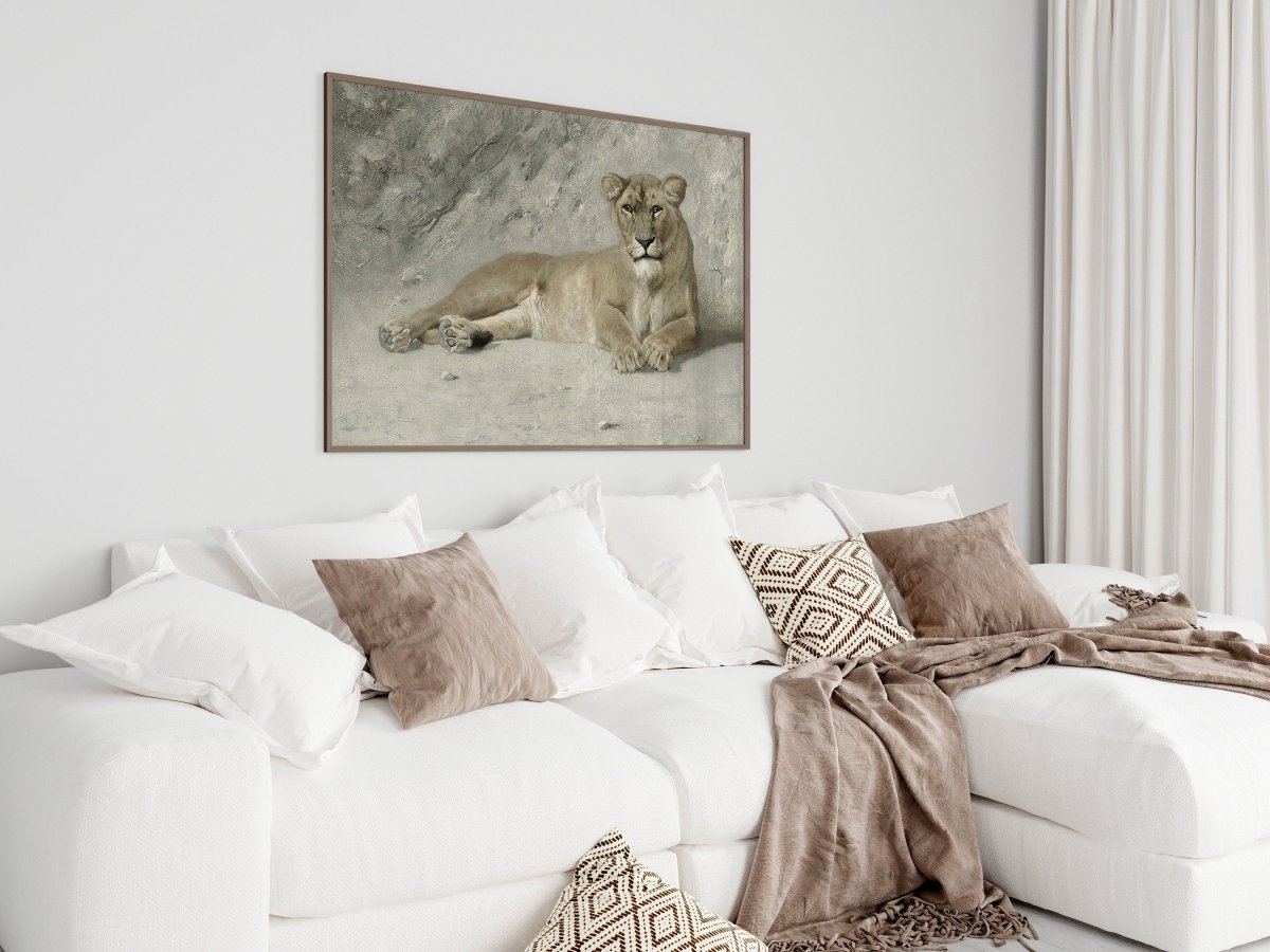 Resting Lioness | P643 - Single Art Prints - Piccolo Fiore Prints