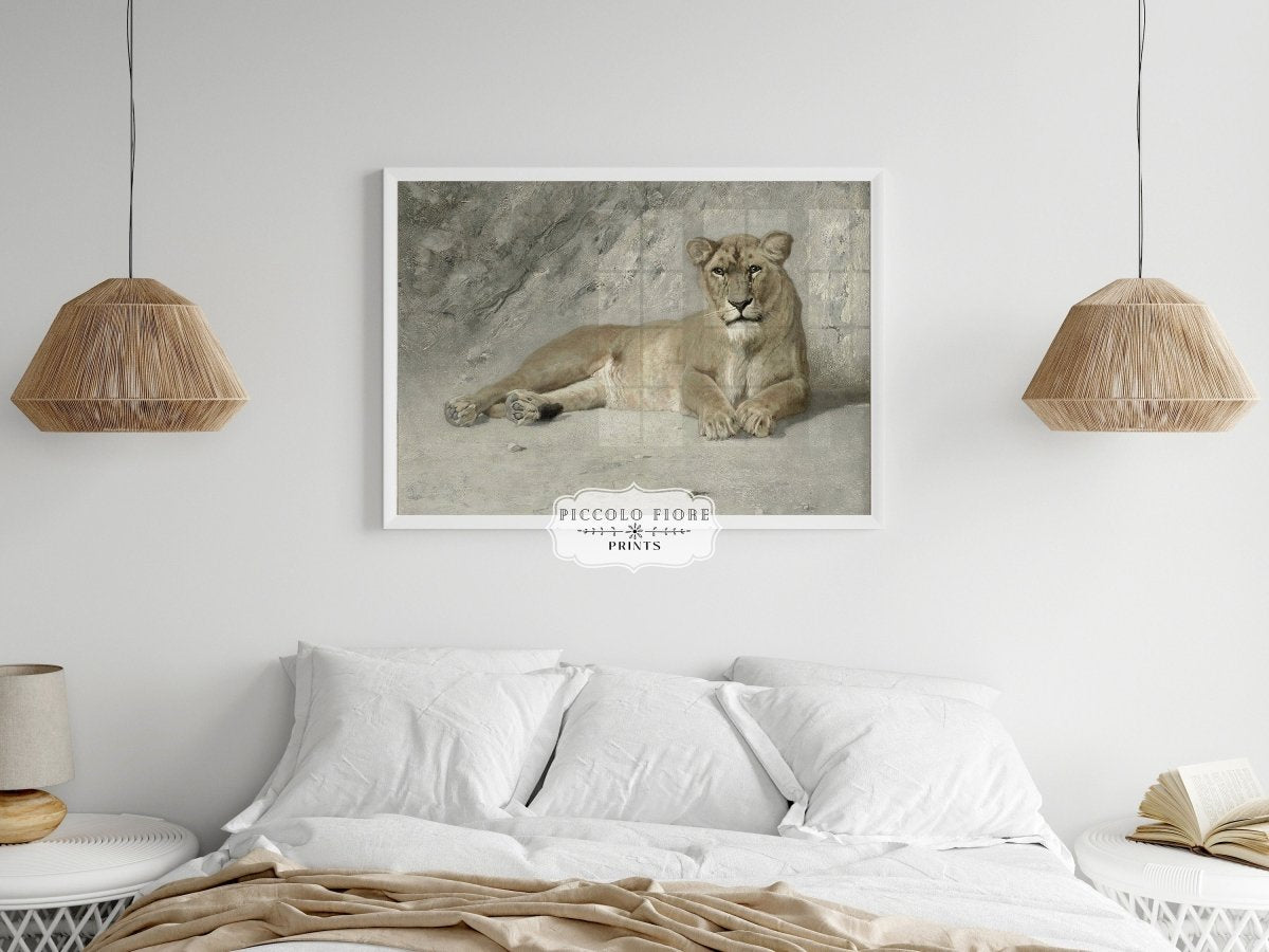 Resting Lioness | P643 - Single Art Prints - Piccolo Fiore Prints