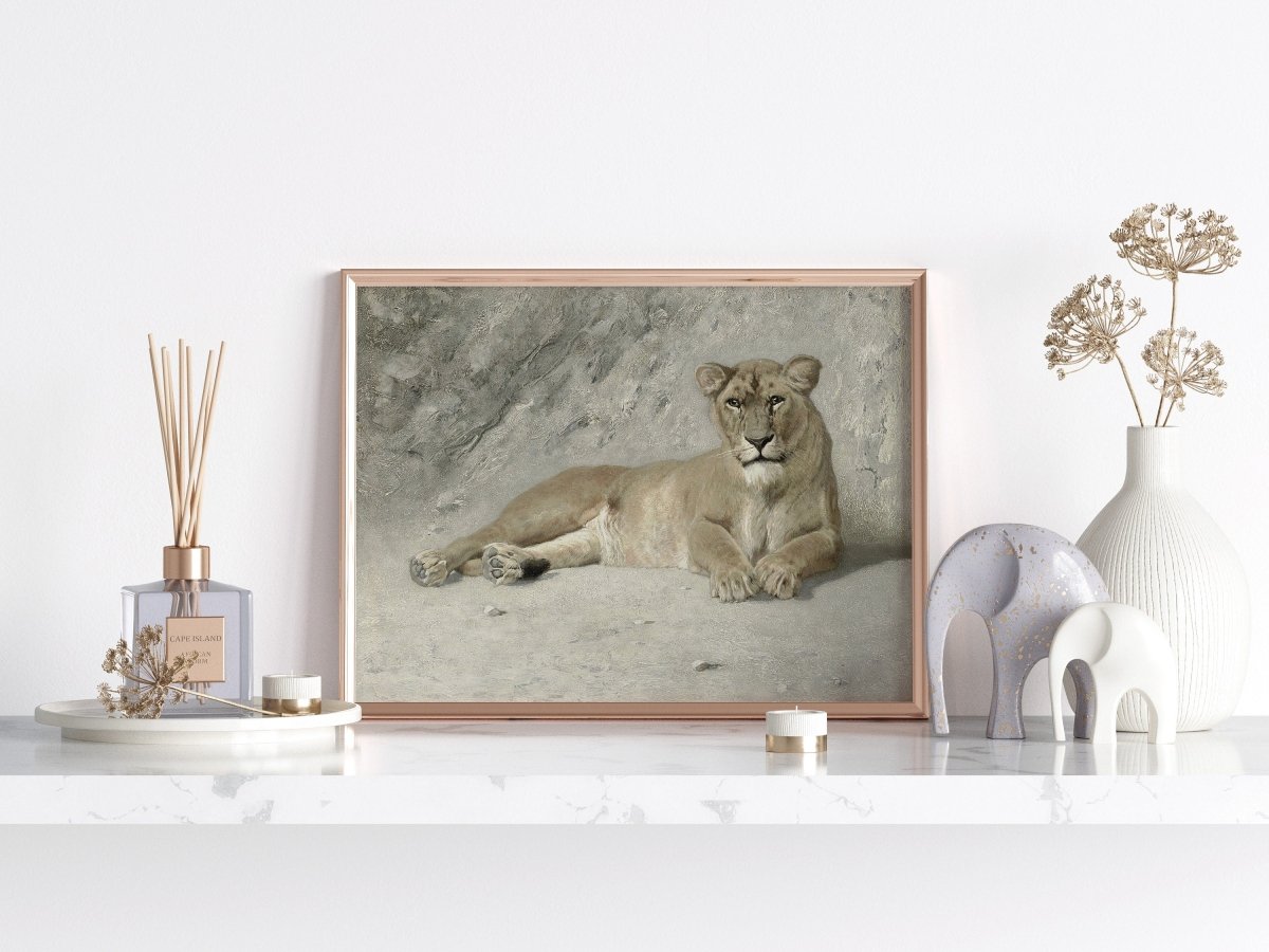 Resting Lioness | P643 - Single Art Prints - Piccolo Fiore Prints