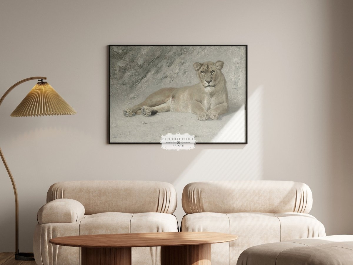 Resting Lioness | P643 - Single Art Prints - Piccolo Fiore Prints