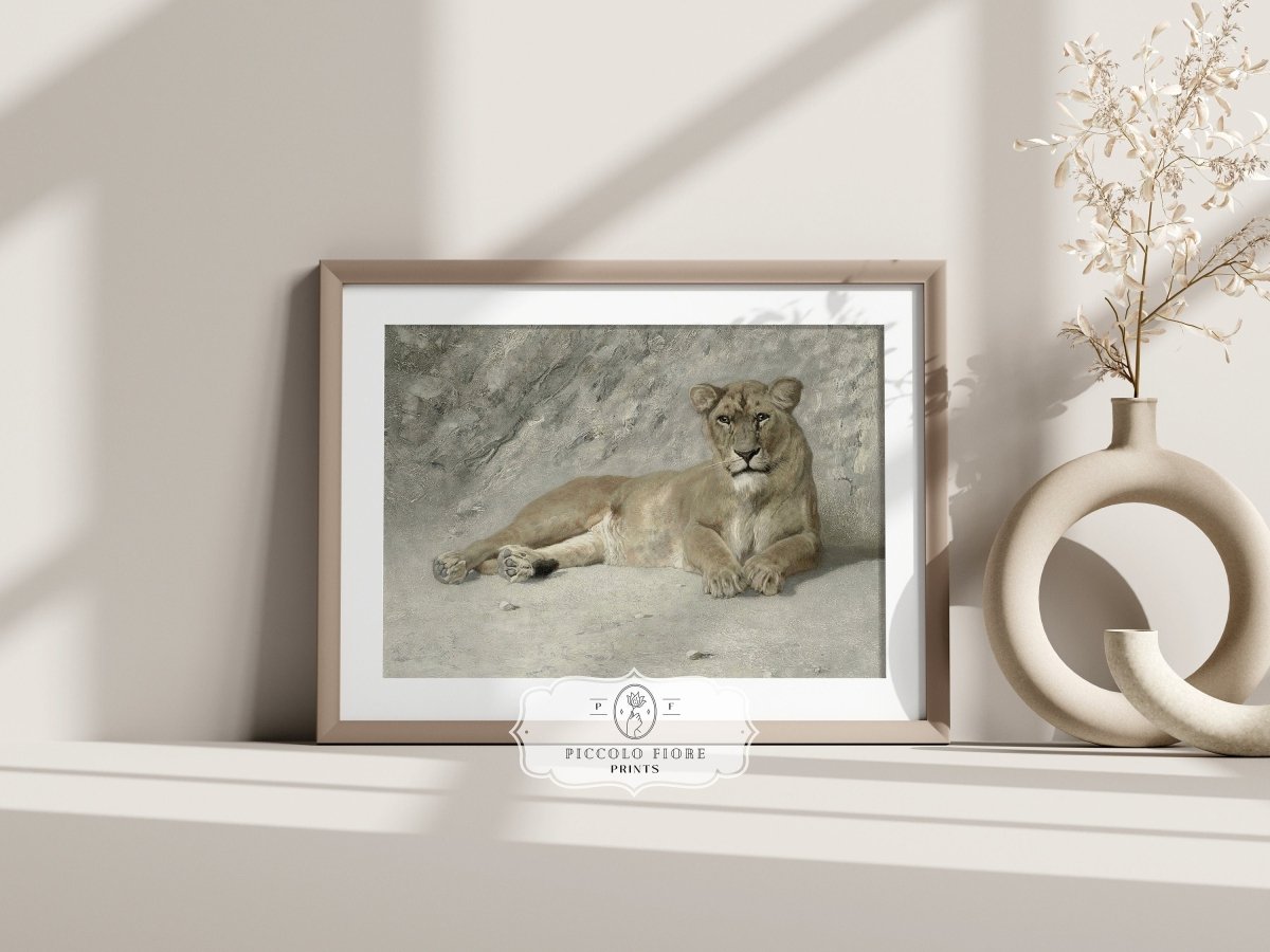 Resting Lioness | P643 - Single Art Prints - Piccolo Fiore Prints