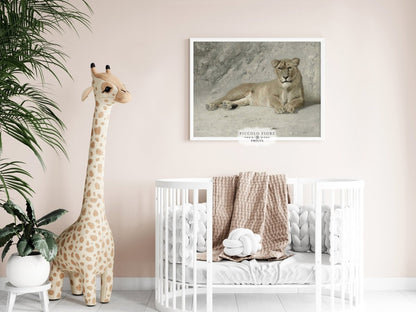 Resting Lioness | P643 - Single Art Prints - Piccolo Fiore Prints