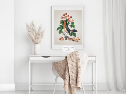 Robin and Strawberries Illustration | P385 - Single Art Prints - Piccolo Fiore Prints