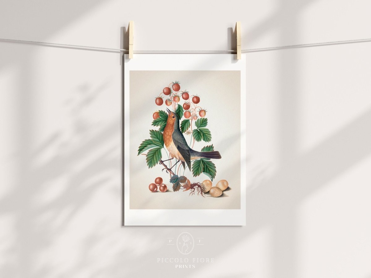 Robin and Strawberries Illustration | P385 - Single Art Prints - Piccolo Fiore Prints