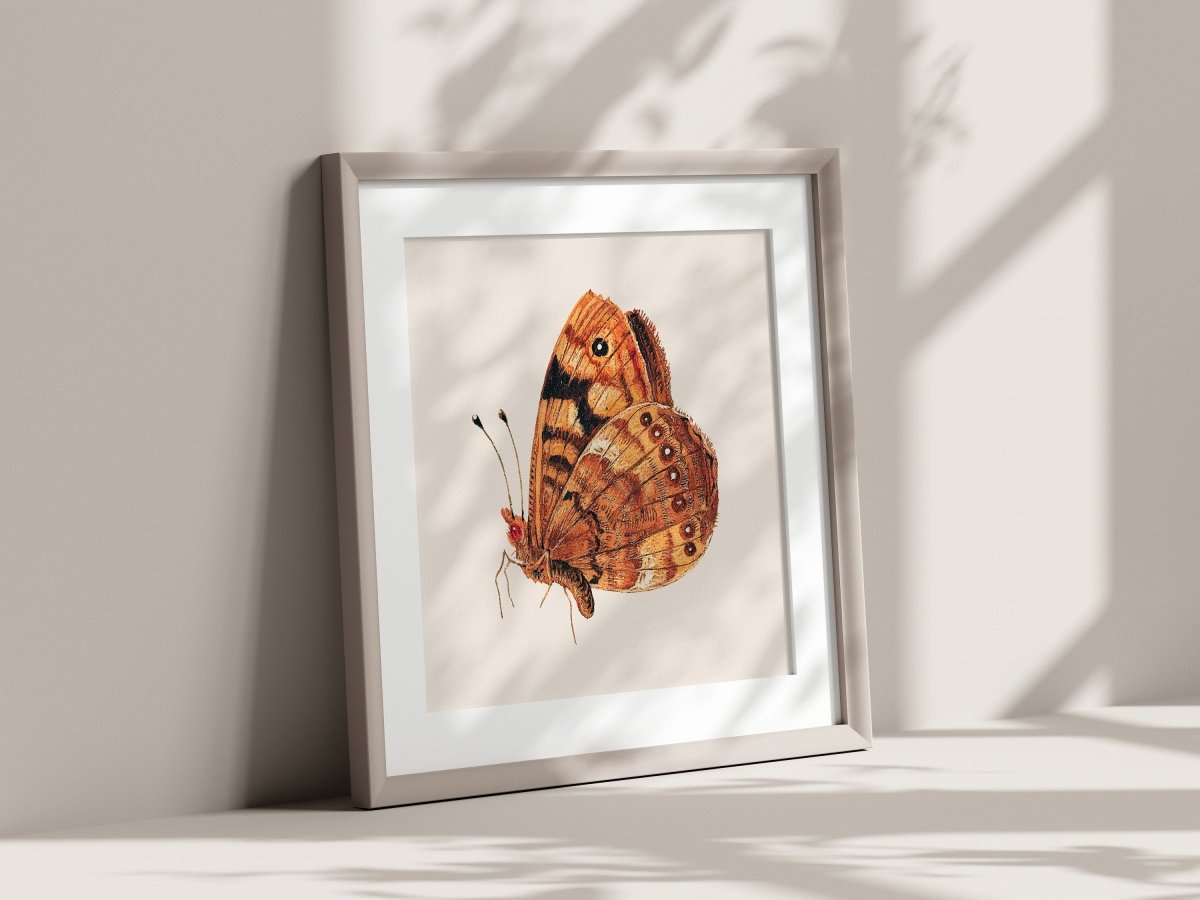 Rust Coloured Moth | P363 - Single Square Art Prints - Piccolo Fiore Prints