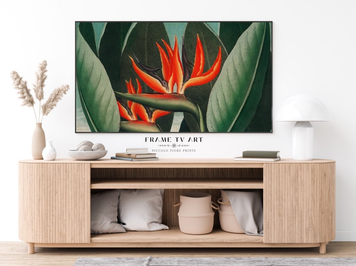 Samsung Frame TV Art | Bird of Paradise | TV1 - Frame TV Art - Piccolo Fiore Prints