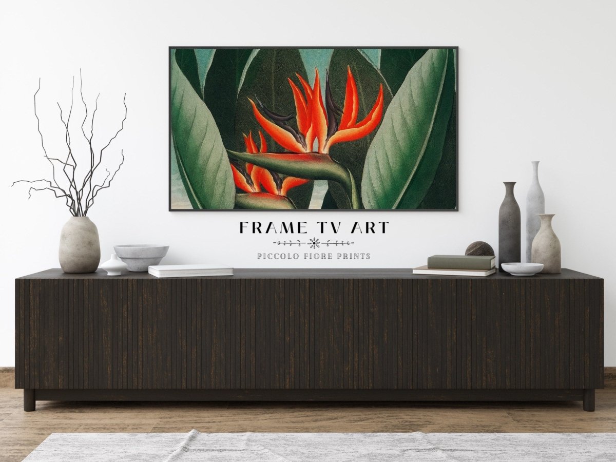 Samsung Frame TV Art | Bird of Paradise | TV1 - Frame TV Art - Piccolo Fiore Prints