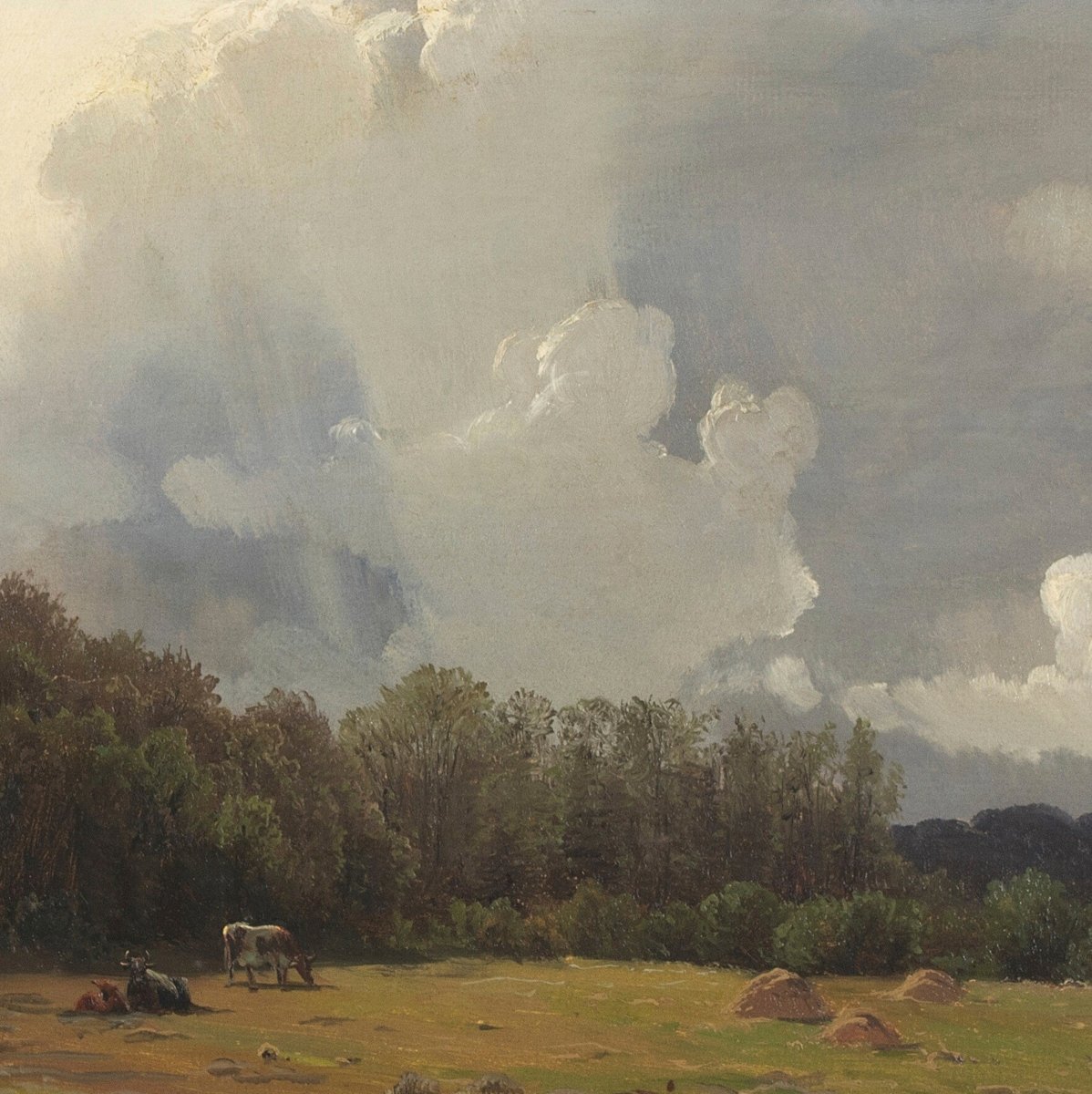 Samsung Frame TV Art | Cows Grazing | TV24 - Frame TV Art - Piccolo Fiore Prints