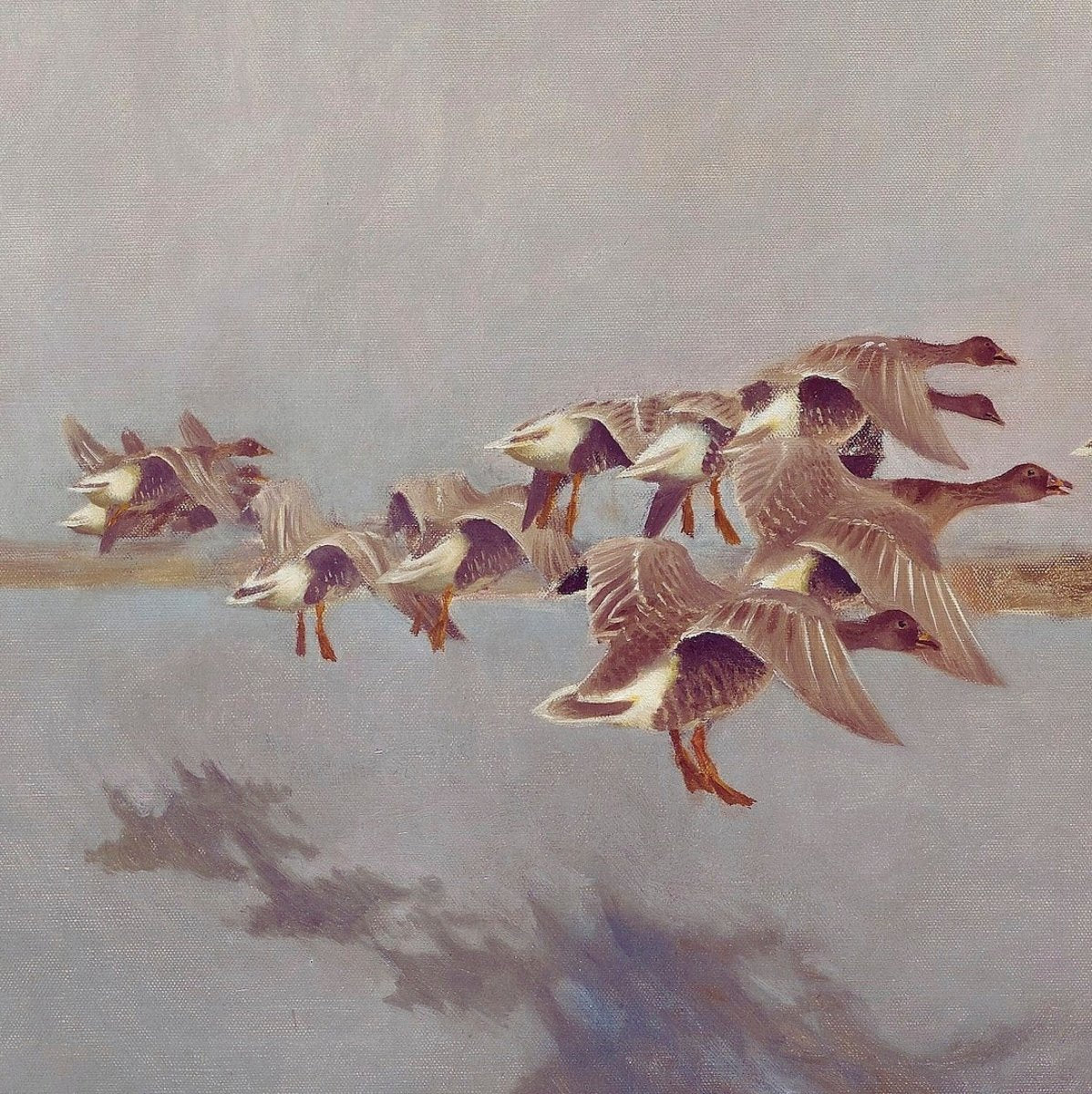 Samsung Frame TV Art | Geese | TV9 - Frame TV Art - Piccolo Fiore Prints