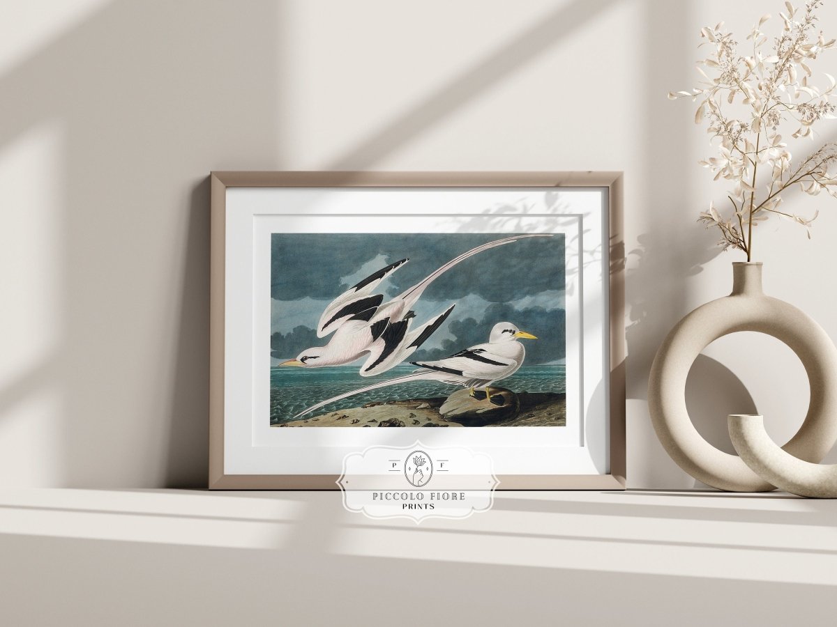 Seagulls | P12 - Single Art Prints - Piccolo Fiore Prints