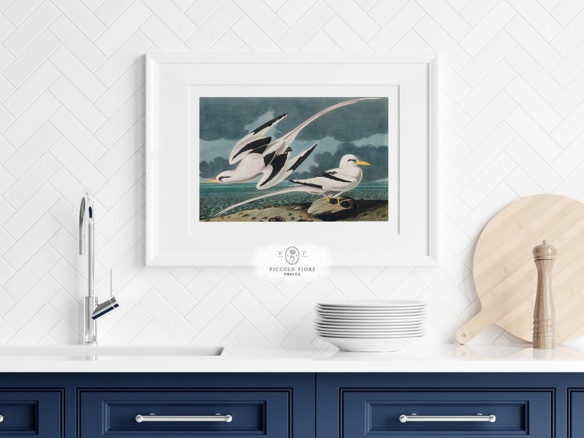 Seagulls | P12 - Single Art Prints - Piccolo Fiore Prints