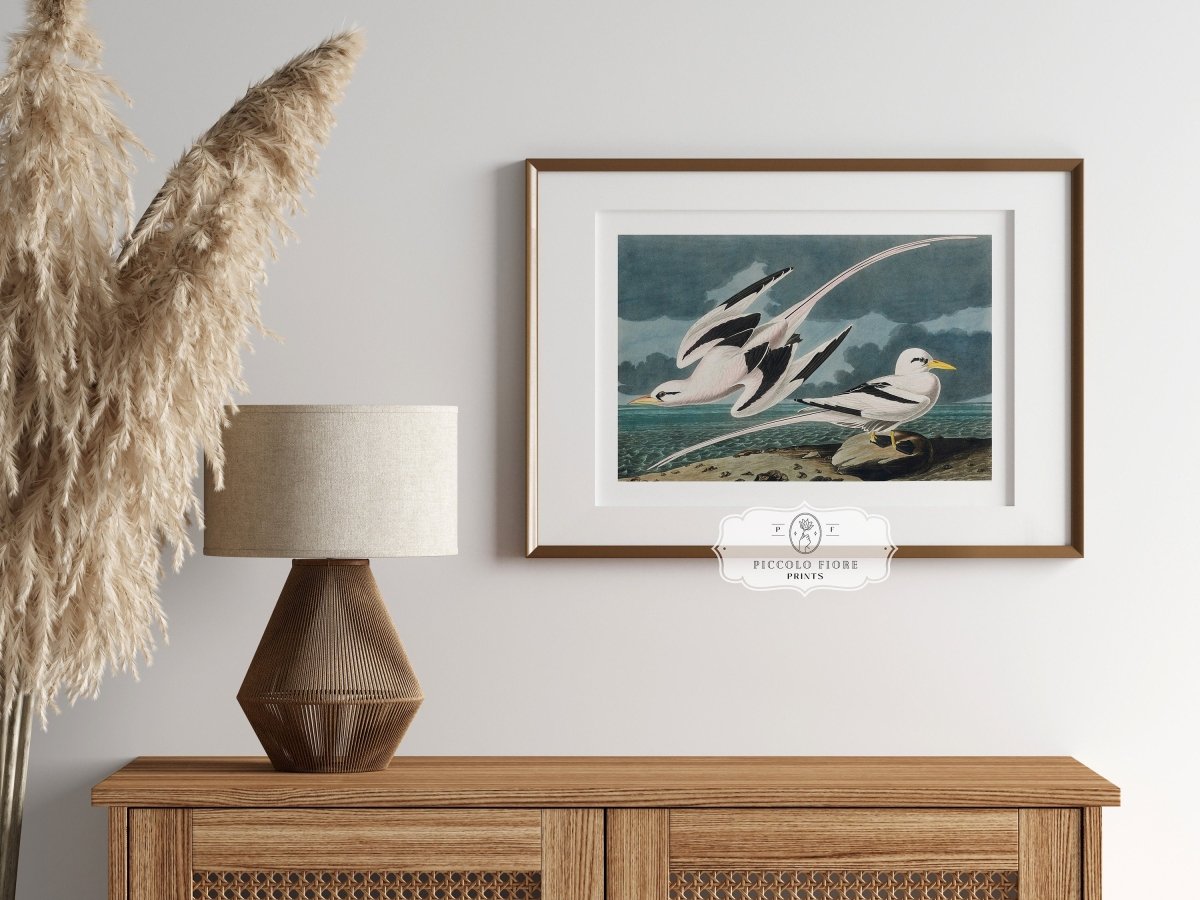 Seagulls | P12 - Single Art Prints - Piccolo Fiore Prints