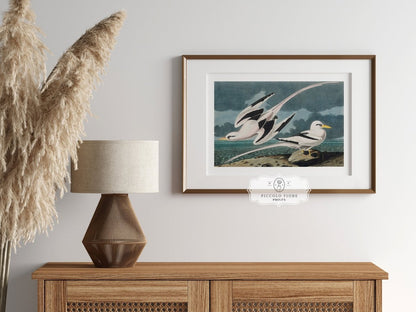 Seagulls | P12 - Single Art Prints - Piccolo Fiore Prints