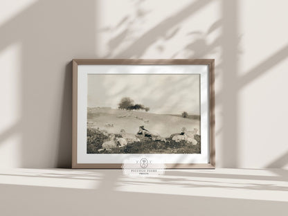Shepherdess | P397 - Single Art Prints - Piccolo Fiore Prints