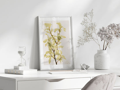 Silverberry Illustration | P350 - Single Art Prints - Piccolo Fiore Prints